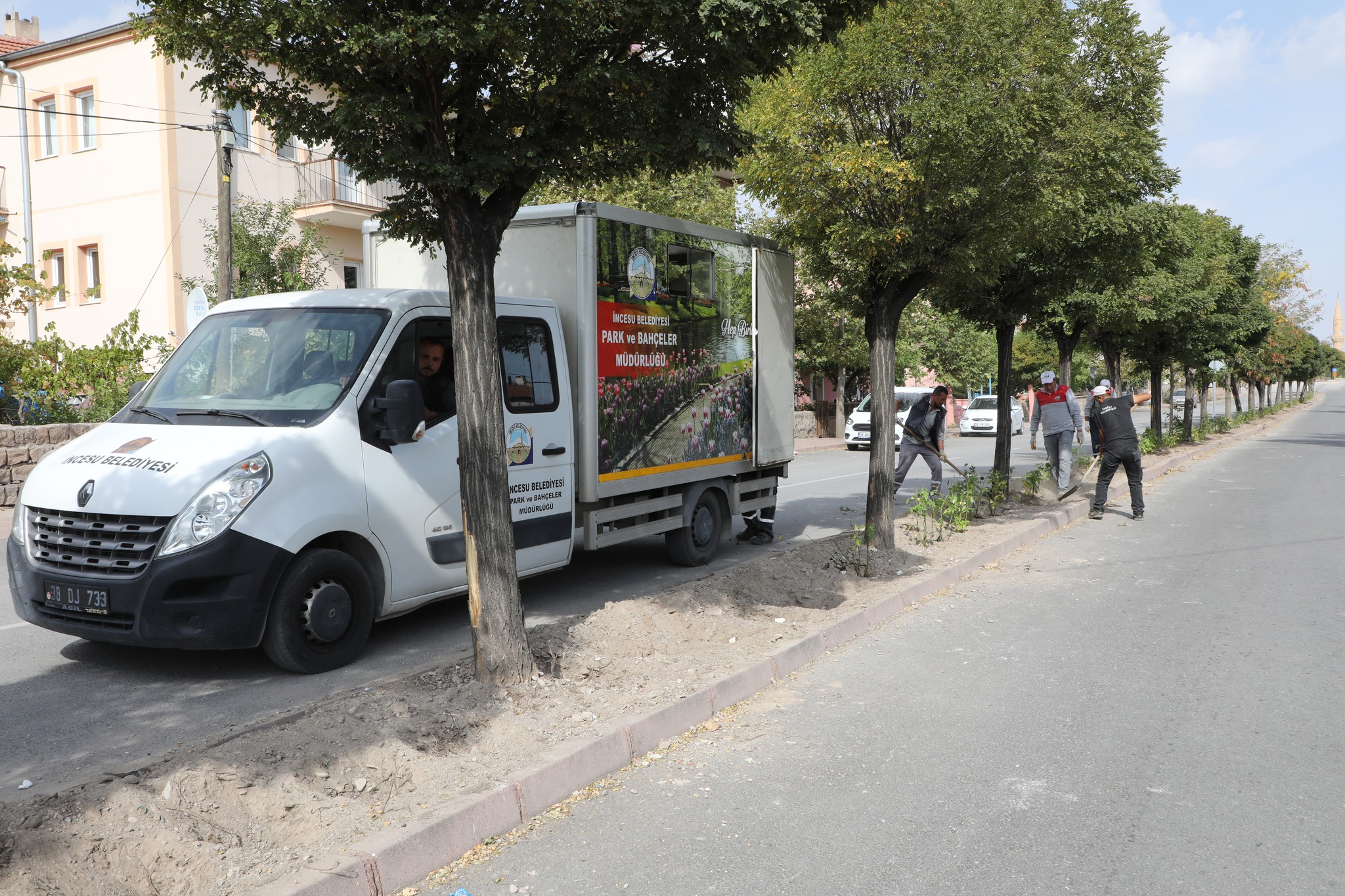 Tarih ve turizm kenti İncesumuzda yeşil alan ve çiçeklendirme çalışmaları kapsamında bin adet gül fidanı toprakla buluşturuldu.