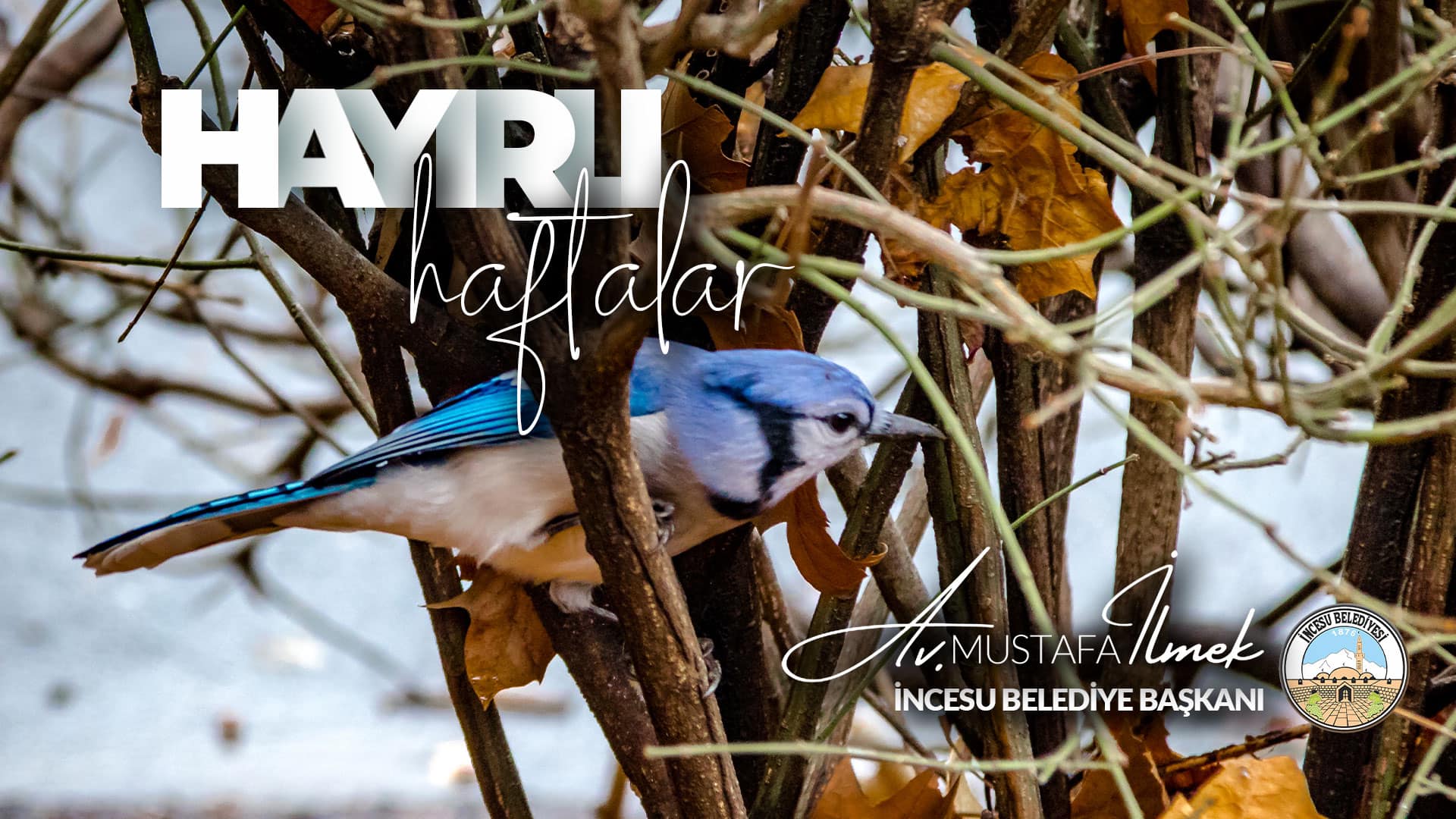 Tüm hemşehrilerime hayırlı, bereketli ve sağlıklı haftalar diliyorum.