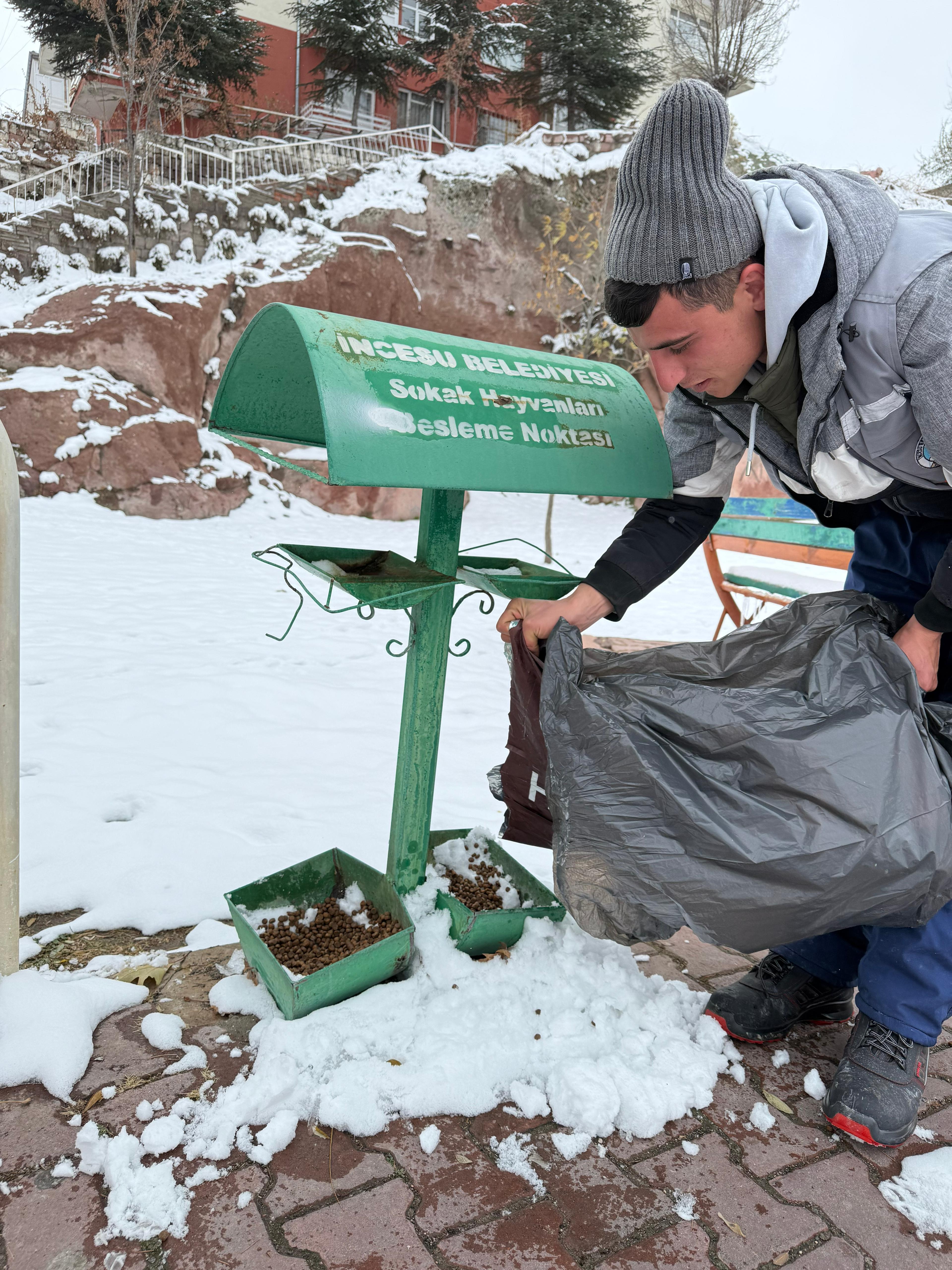 Sokak ve yaban hayvanları için belirlenen yerlere yemleme çalışmasını sürdürüyoruz.