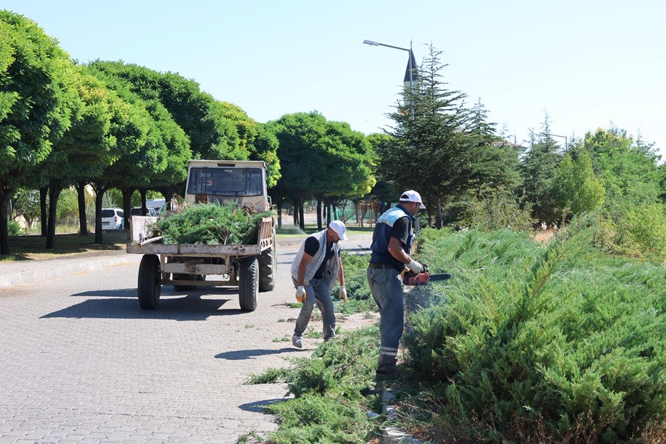 Belediye ekiplerimiz, Daha yeşil, temiz ve düzenli bir İncesu için 1’nci TOKİ’de budama ve temizlik çalışması yaptı. Planlama doğrultusunda diğer mahallelerde de çalışmalarımız devam edecektir.