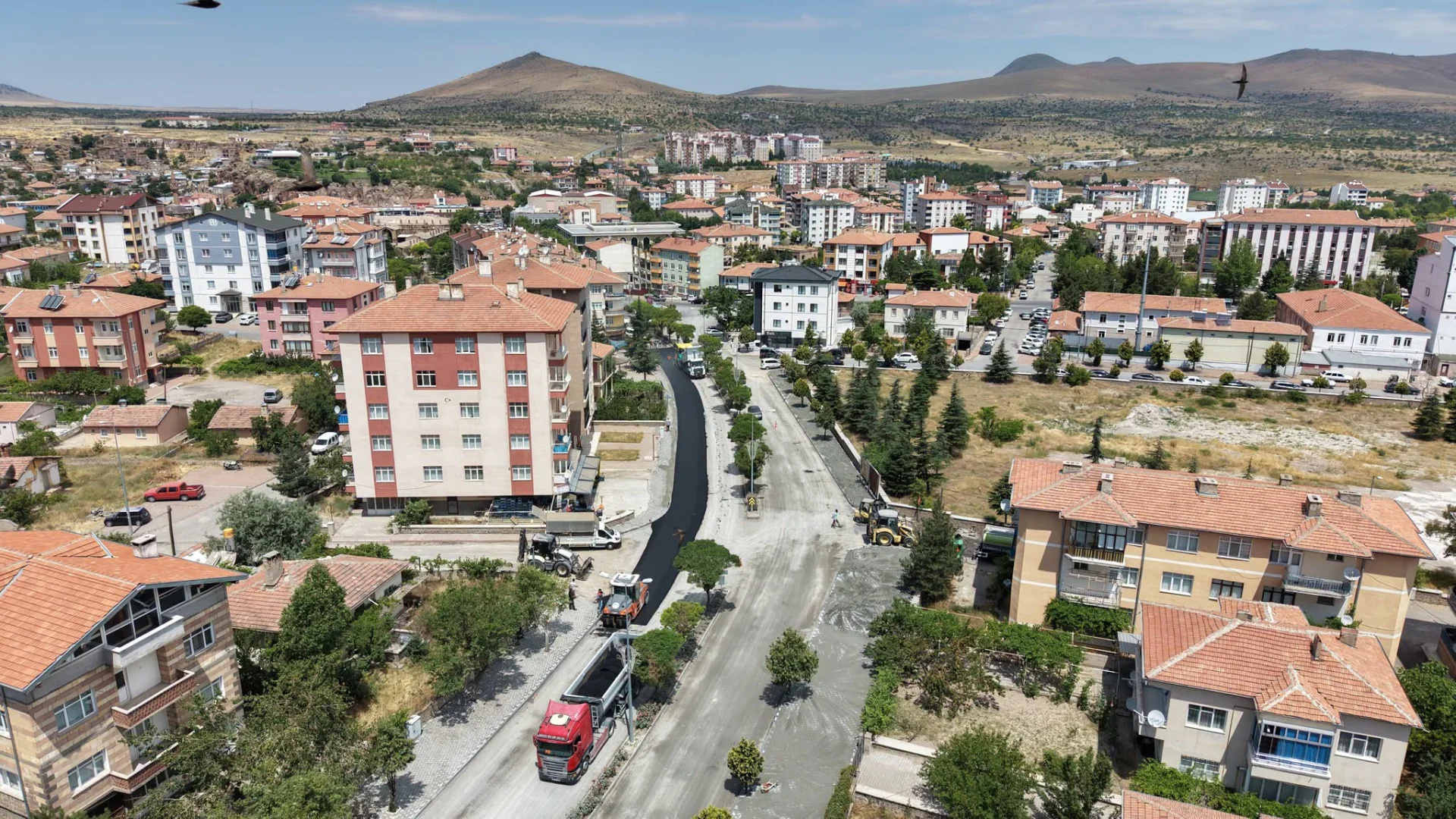 Atatürk Caddesi’nde Teşhis, Tedavi, Sonuç!